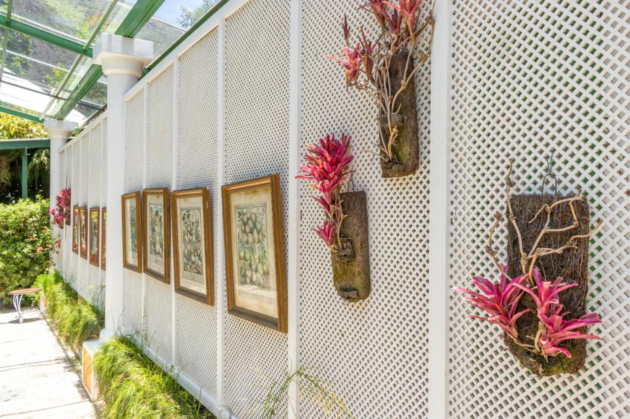 Locanda Della Mimosa Cascatinha Dış mekan fotoğraf